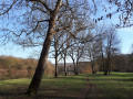 Le long de la Marne Le long de la Marne