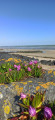 Along the beach at Ver
