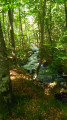 Le long de la Rougeanne