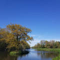 Le long de la Vilaine