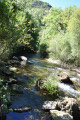 Le long de la vis entre les arbres