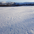 Le long des berges du lac