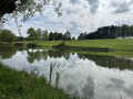 Le long des champs de golf