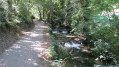 Le long des petites cascades. Très beau chemin !