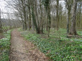 Circuit des sabotiers à Mecquignies Circuit des sabotiers à Mecquignies