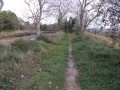 Le long du Canal du Midi