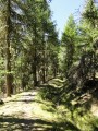 Canal de Mal Cros - Chaillol 1600 Canal de Mal Cros - Chaillol 1600