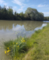 le long du canal