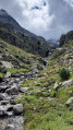 Le long du chemin