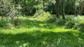 le long du chemin