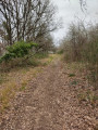 Le long du circuit abandonné