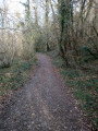 En sous-bois En sous-bois