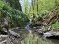 Le long du ruisseau de Solières