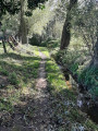 Le long du Ruisseau du Marais