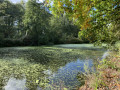 Le long du vieux canal