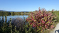 Le Malsaucy en début automne