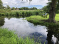 Le marais de Bellengreville