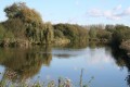 Le marais des Cavins