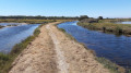 Le marais des Olonnes