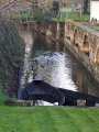 Le Marais Sauvage entre Damvix et la Rivière