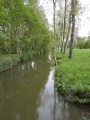 Le Marais Sauvage