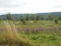 Autour du Mesnil-sous-Jumièges