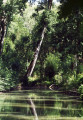 Le marais