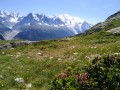 Le massif du Mont Blanc