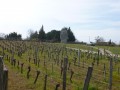Les rives de la Dordogne à Libourne Les rives de la Dordogne à Libourne