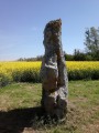 Randonnée de Congy (pays du menhir) Randonnée de Congy (pays du menhir)