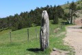 Le menhir de Trépaloup Le menhir de Trépaloup