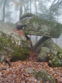 La table des Druides
