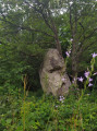Le Menhir des Pommesoies
