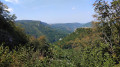 Le Moine de la Vall&eacute;e et la baume de Syratus