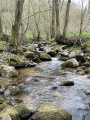 Le Moingt
