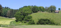 Le Mollard