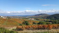 le mont Brouilly
