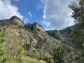 Le Mont Colombin