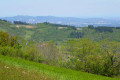 Le Mont d'Or Lyonnais Le Mont d'Or Lyonnais