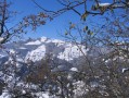 Le Mont Morbié Le Mont Morbié