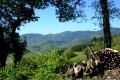 Le Mont Pilat Le Mont Pilat