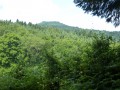 Le Mont Saint-Rigaud