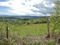 Le Mont