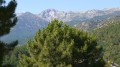 Le Monte Renoso (Monte Rinosu ou Renosu)