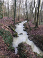 le Mouillon
