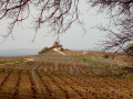 Le moulin de Verzenay