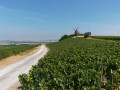 Le moulin de Verzonnay Le moulin de Verzonnay