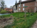 Le moulin du charme