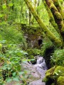 Le Moulin du Défois