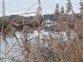 Le moulin du pré depuis la rive du Doubs